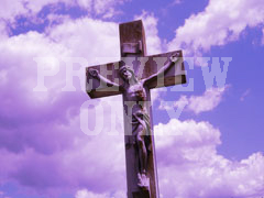 CHRIST PURPLE